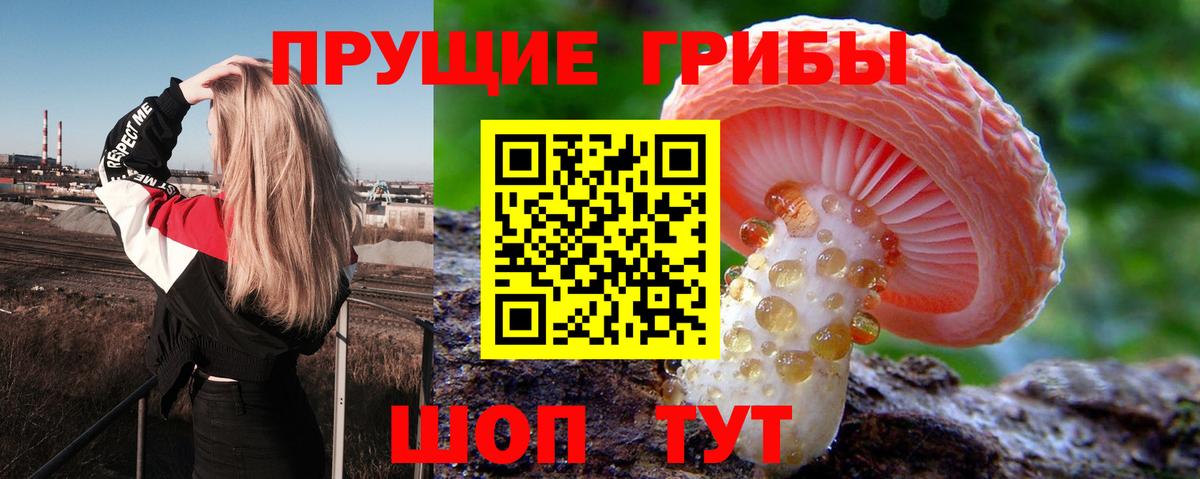 Сергиев Посад  Псилоцибиновые грибы MAGIC MUSHROOMS  Вход с VPN 